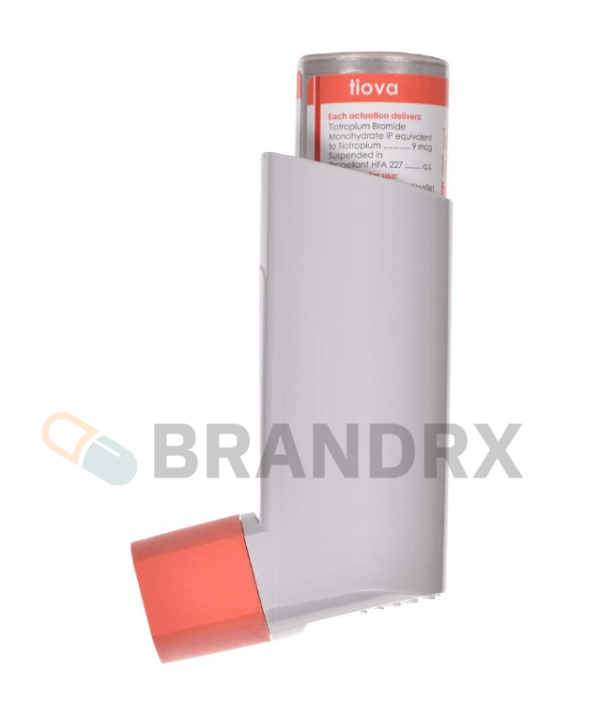 8gDy5qey2pPplwU6rJPm-1