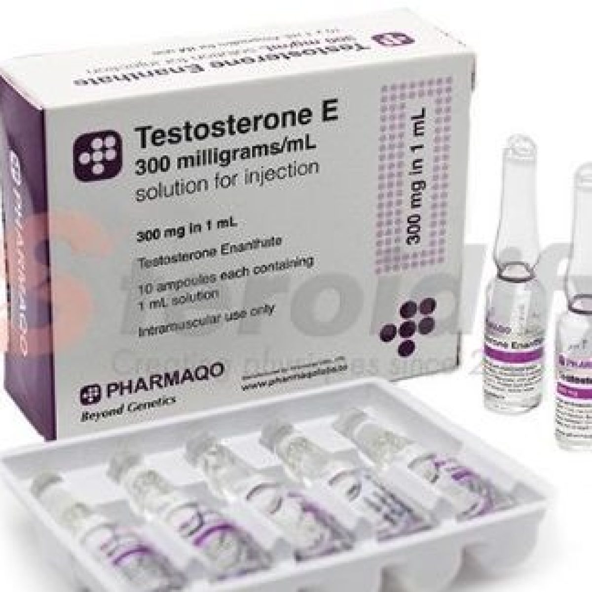 DmxvZoVfFR8BK0CUV9i0-1