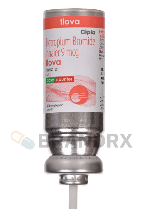 PZVegYOKBMc8HEeBfDRS-1