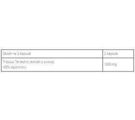 och8EjxhfMYcfEIKNMtC-1